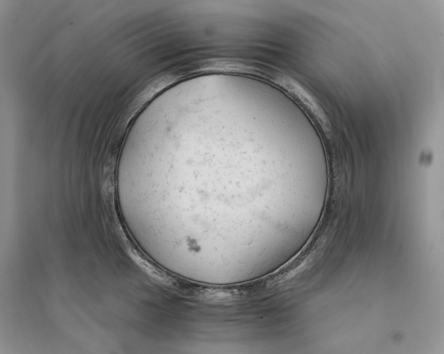 X0000094451049200711291654