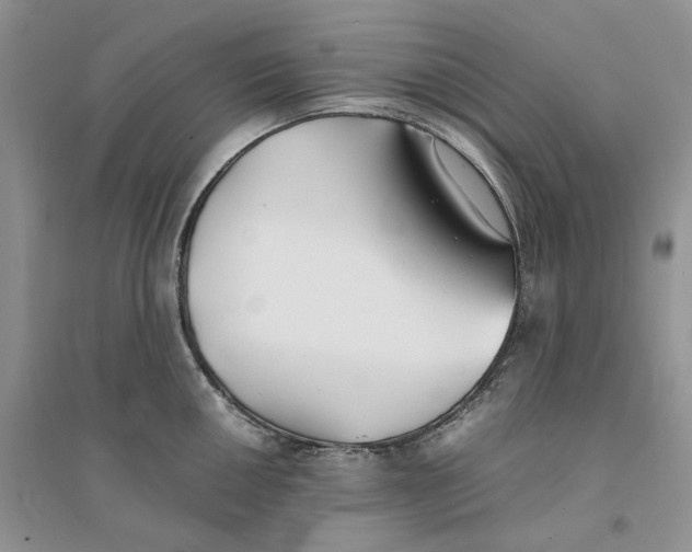 X0000094451050200711291654