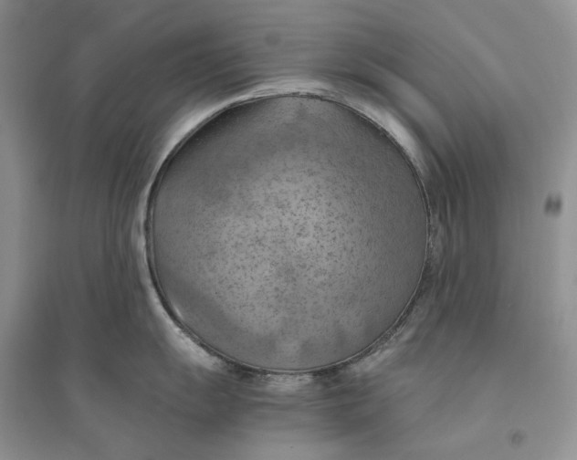 X0000094451055200711291655