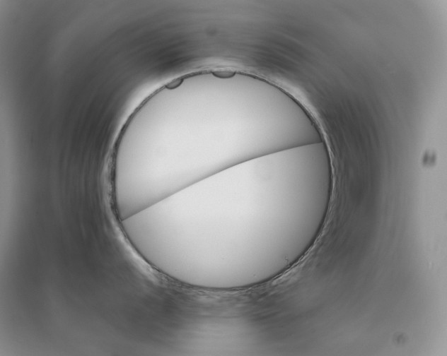 X0000094451056200711291655