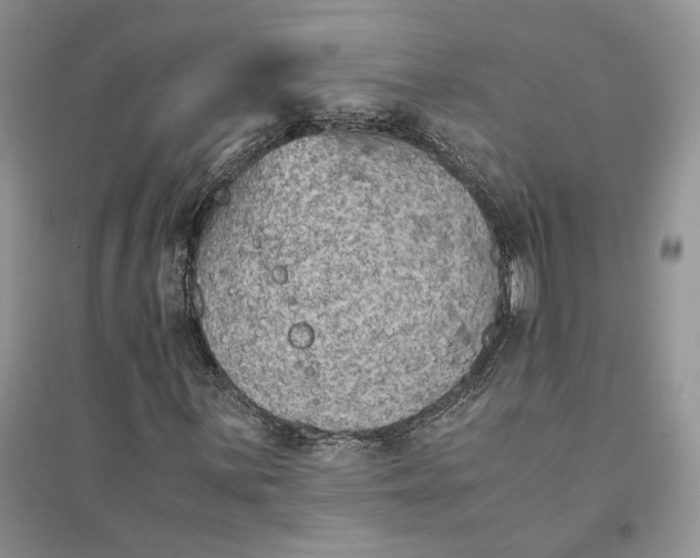 X0000094451059200711291654