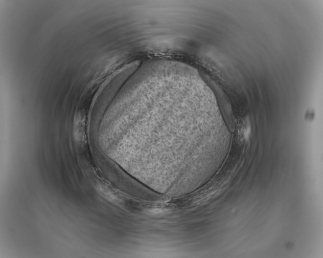 X0000094451060200711291654