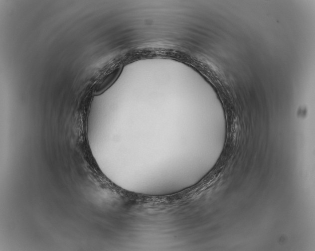 X0000094451062200711291654