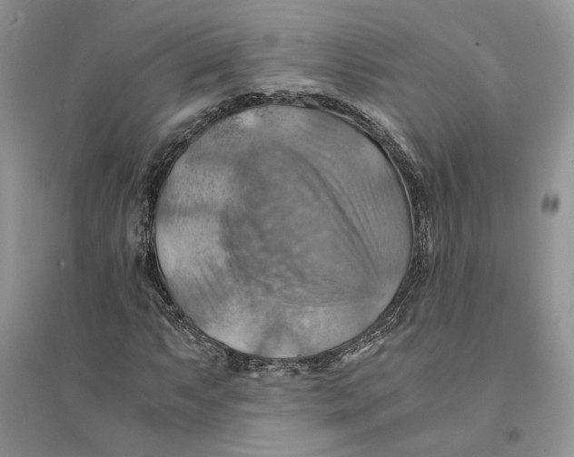 X0000094451063200711291654