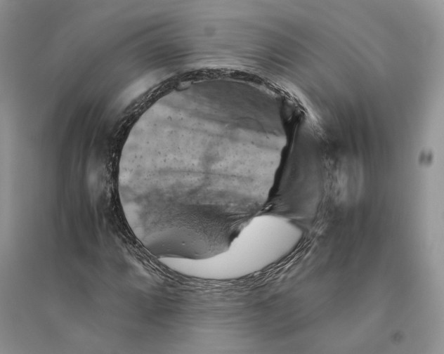 X0000094451064200711291654