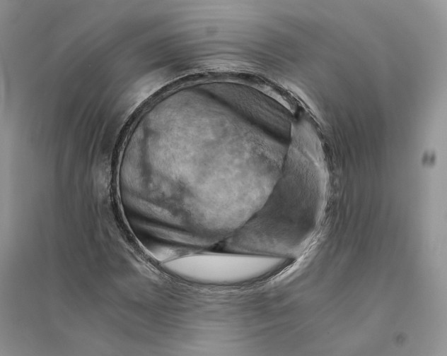 X0000094451065200711291654