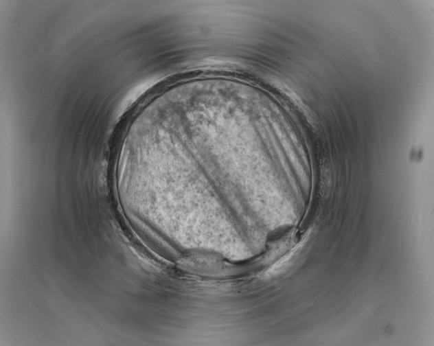 X0000094451066200711291654