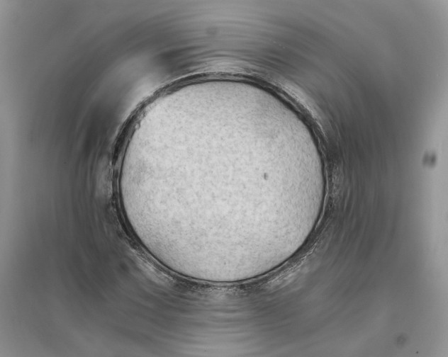 X0000094451067200711291654