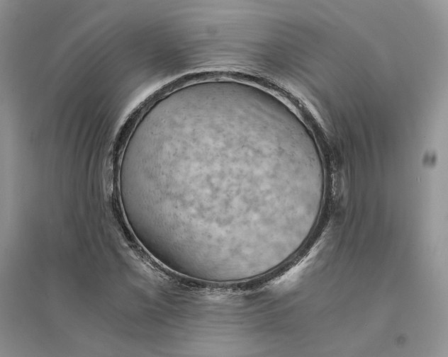 X0000094451069200711291654