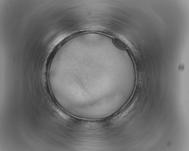 X0000094451071200711291654