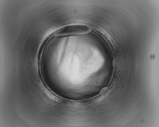 X0000094451072200711291654