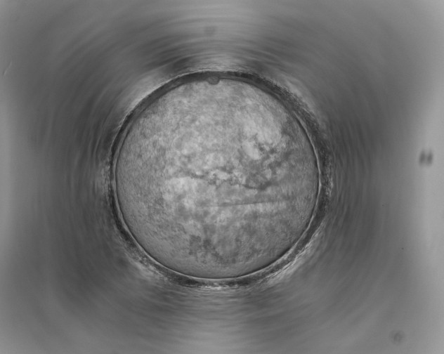 X0000094451073200711291653