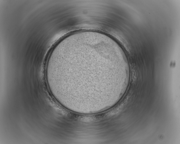 X0000094451074200711291653