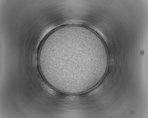 X0000094451075200711291653