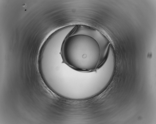 X0000094451076200711291653