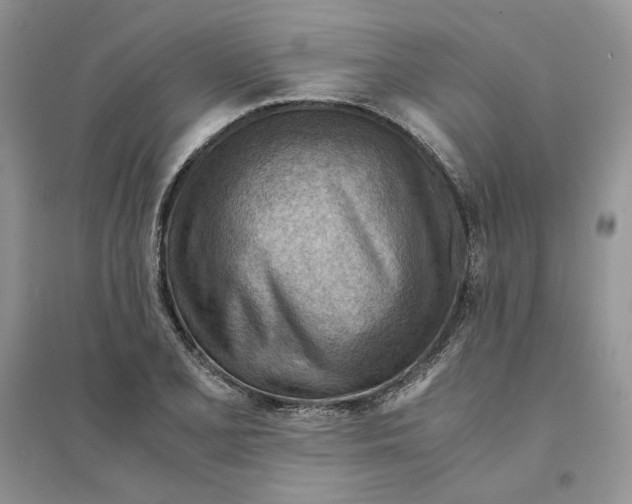 X0000094451077200711291653