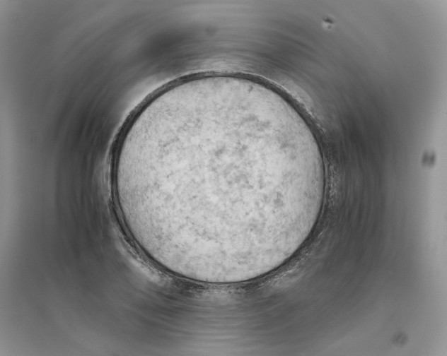 X0000094451078200711291653