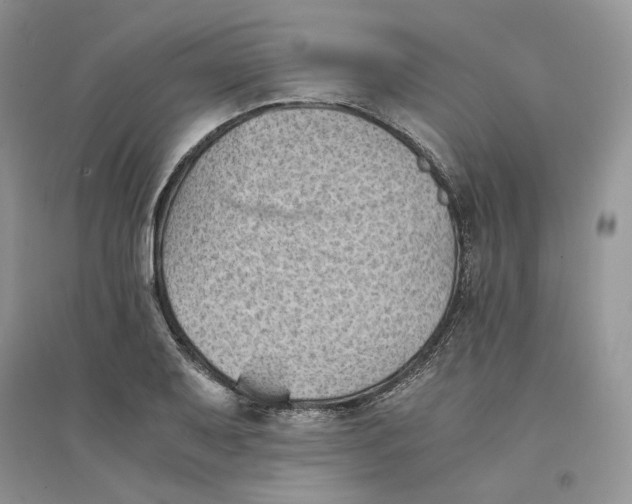 X0000094451079200711291653