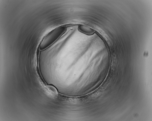 X0000094451080200711291653