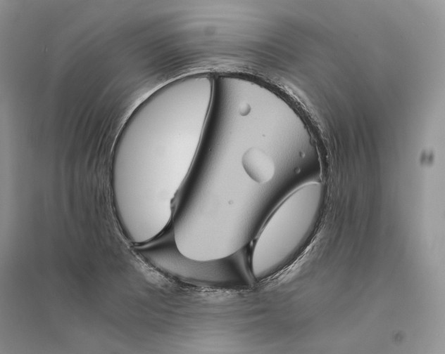 X0000094451081200711291653