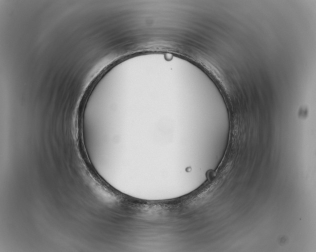 X0000094451082200711291653