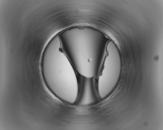 X0000094451084200711291653