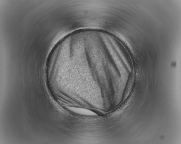 X0000094451085200711291653