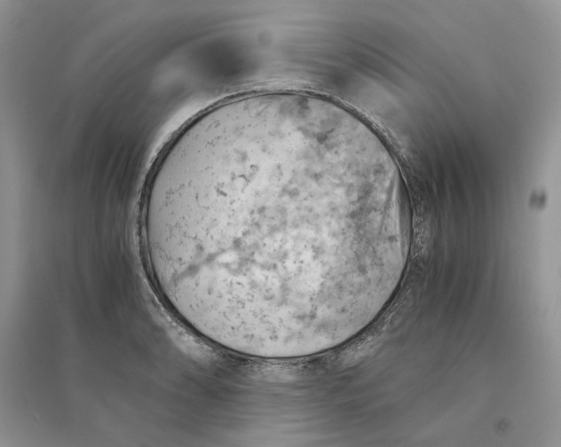 X0000094451086200711291653