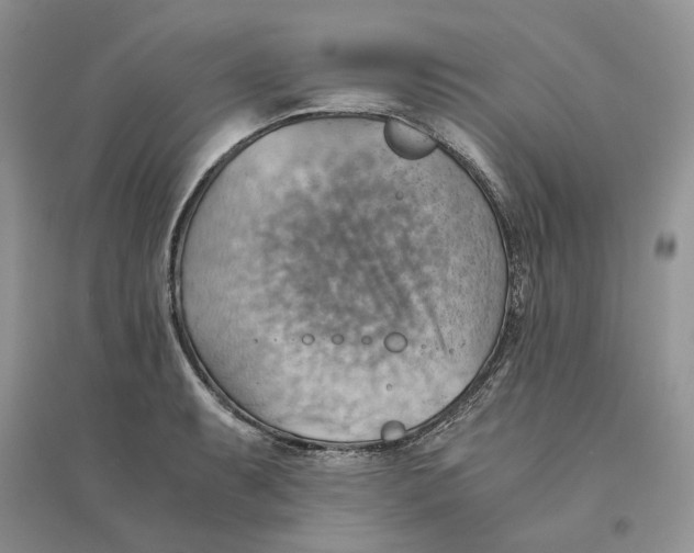 X0000094451087200711291653