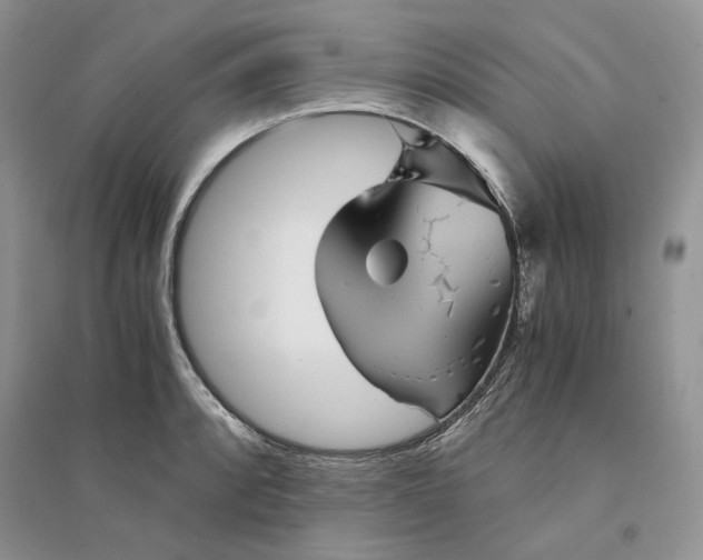 X0000094451088200711291653