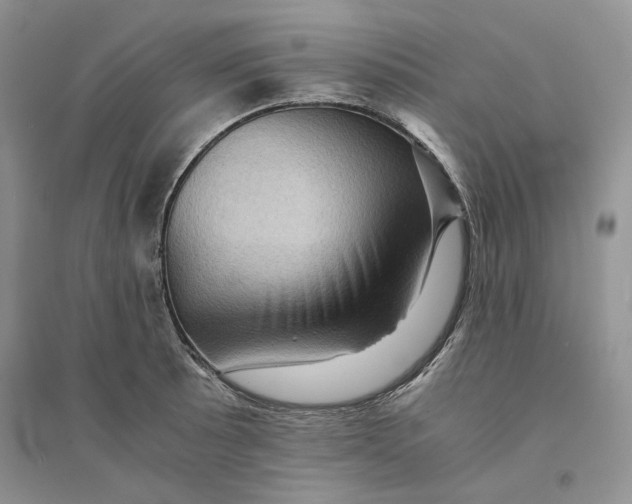 X0000094451089200711291653