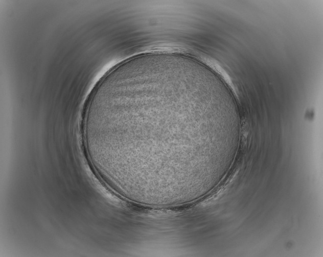 X0000094451091200711291653