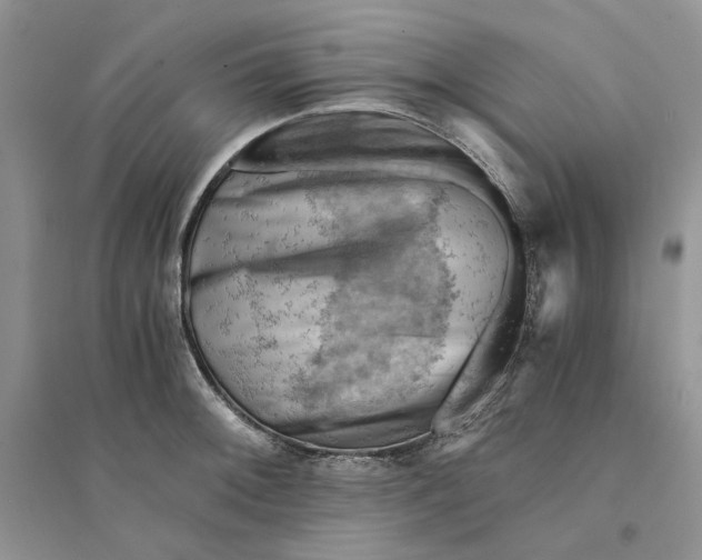 X0000094451092200711291653