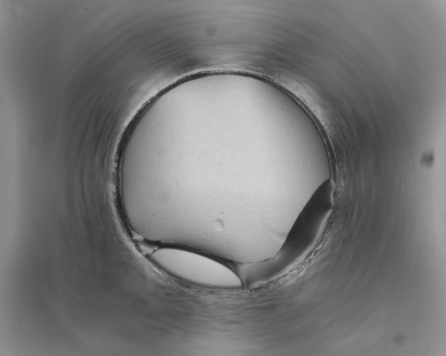 X0000094451093200711291653