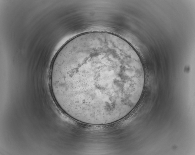 X0000094451094200711291653