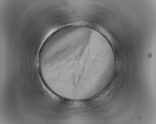 X0000094451095200711291653