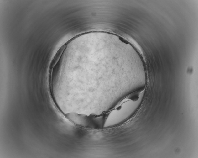 X0000094451096200711291653