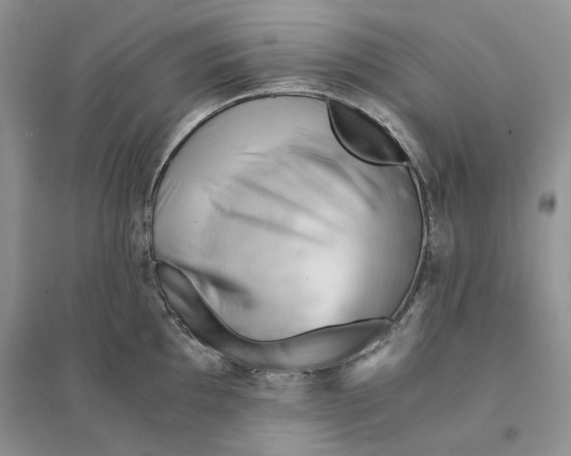 X0000094451097200711291653