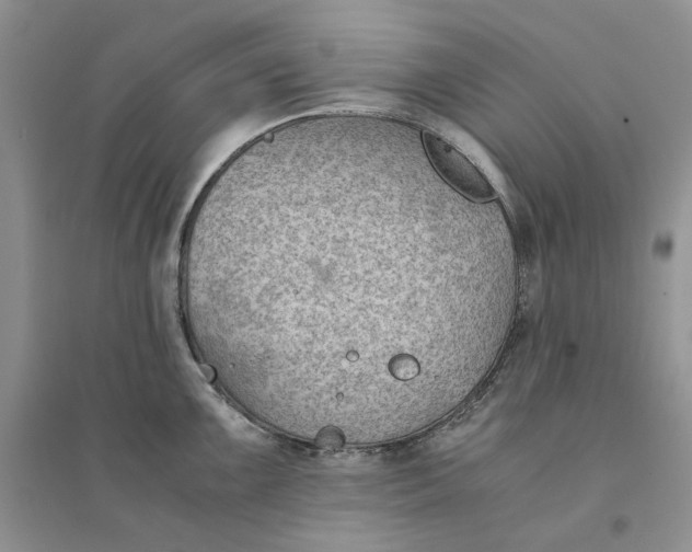 X0000094451099200711291653