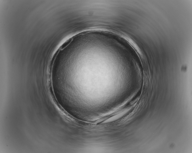 X0000094451101200711291653