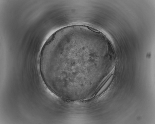 X0000094451102200711291653