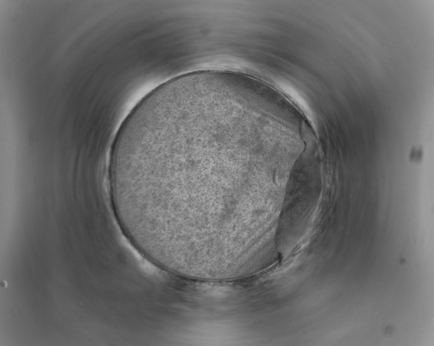 X0000094451103200711291653