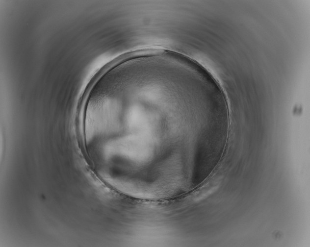 X0000094451104200711291653