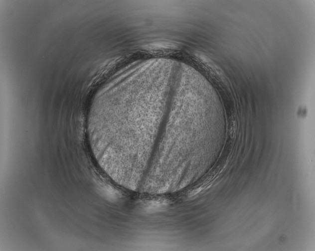 X0000094451108200711291652