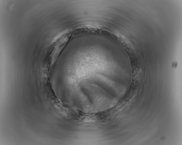 X0000094451110200711291652