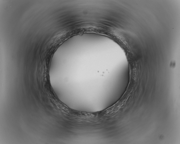 X0000094451111200711291652