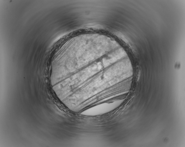 X0000094451112200711291652