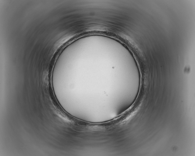 X0000094451113200711291653