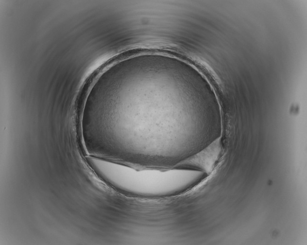 X0000094451114200711291653