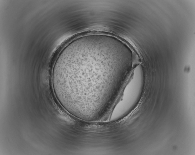 X0000094451115200711291653